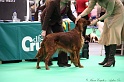 Crufts2011 327